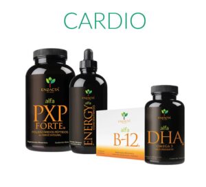 Paquete cardiovascular - PXP FORTE Energy B-12 sublingual DHA Omega-3 salud del corazón circulación