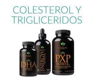 Kit cardiovascular ENZACTA - Suplementos naturales colesterol triglicéridos DHA Energy PXP FORTE