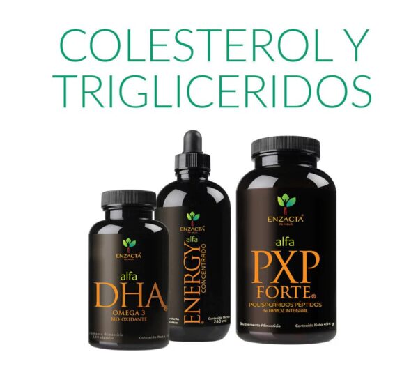 Kit cardiovascular ENZACTA - Suplementos naturales colesterol triglicéridos DHA Energy PXP FORTE