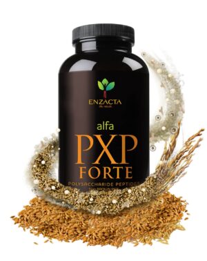 Alfa PXP FORTE 454g ENZACTA - Polisacáridos péptidos energía natural suplemento Solo Originals