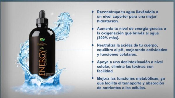 ALFA ENERGY 240 ML