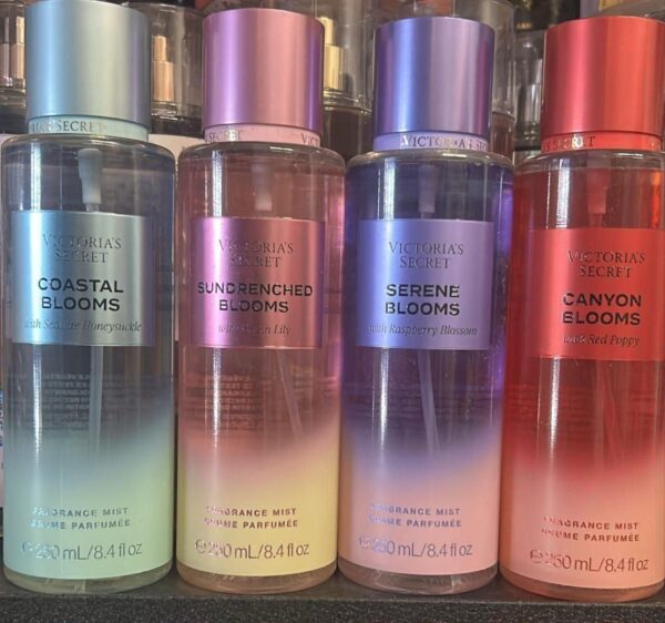 WhatsApp Image 2026-06-28 at 6.23.35 PM (4) PAQUETE DE 10 PIEZAS DE BODYS VICTORIA'S SECRET