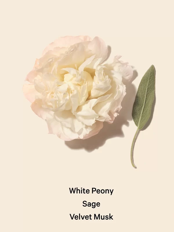 Mist Corporal Bomshell Seduction